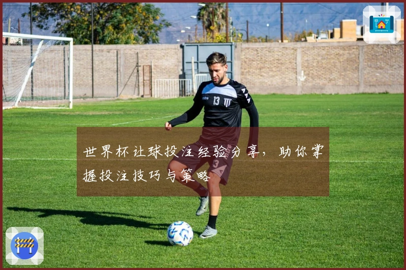 世界杯让球投注经验分享，助你掌握投注技巧与策略