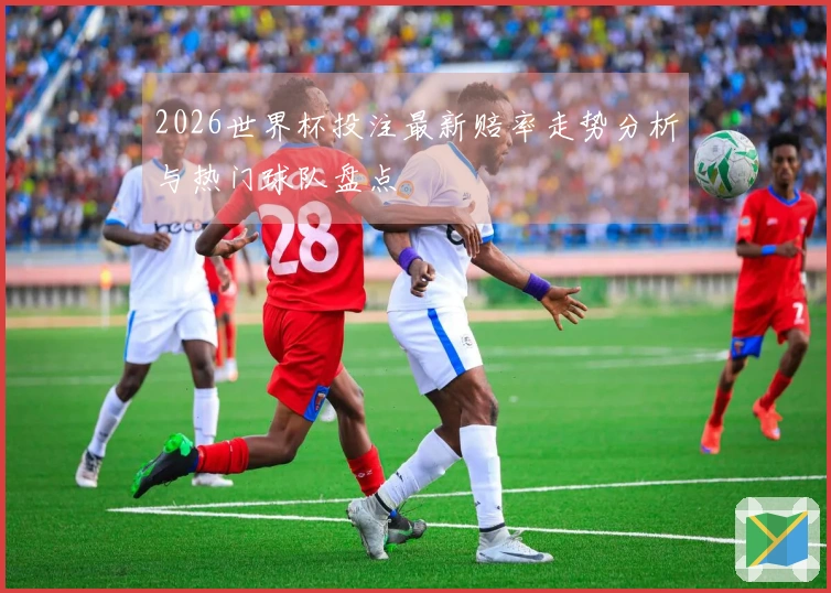 2026世界杯投注最新赔率走势分析与热门球队盘点