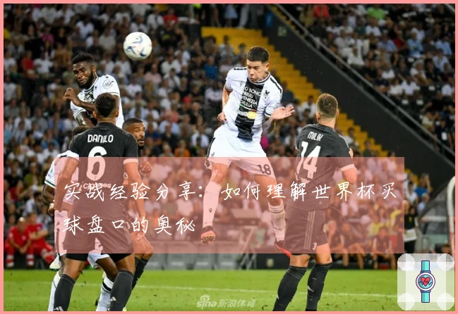 实战经验分享：如何理解世界杯买球盘口的奥秘