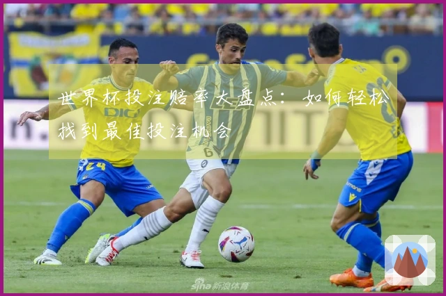 世界杯投注赔率大盘点：如何轻松找到最佳投注机会