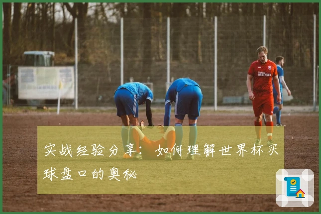 实战经验分享：如何理解世界杯买球盘口的奥秘