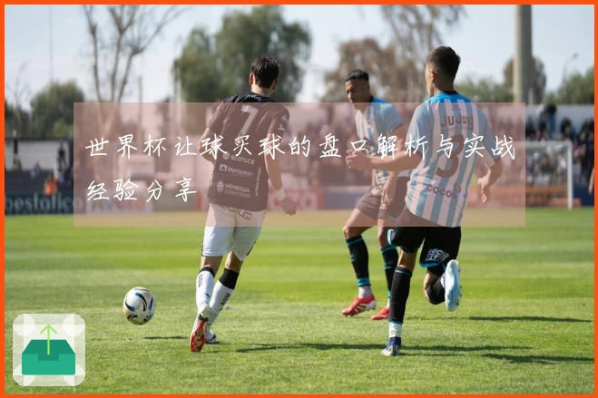 世界杯让球买球的盘口解析与实战经验分享