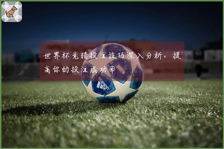 世界杯竞猜投注技巧深入分析，提高你的投注成功率